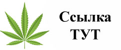 Купить наркотики в Звенигороде